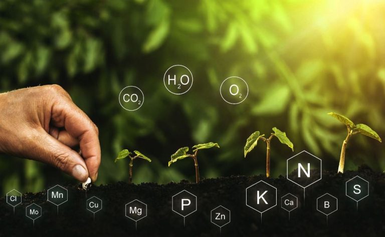 Micronutrition et nutrithérapie 93